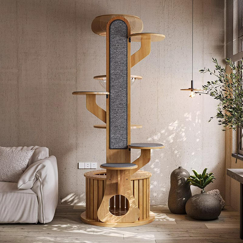 Hình dạng cây xương rồng khung gỗ leo cây mèo rắn với viên nang không gian Hình dạng cây xương rồng khung gỗ leo cây mèo rắn với viên nang không gian