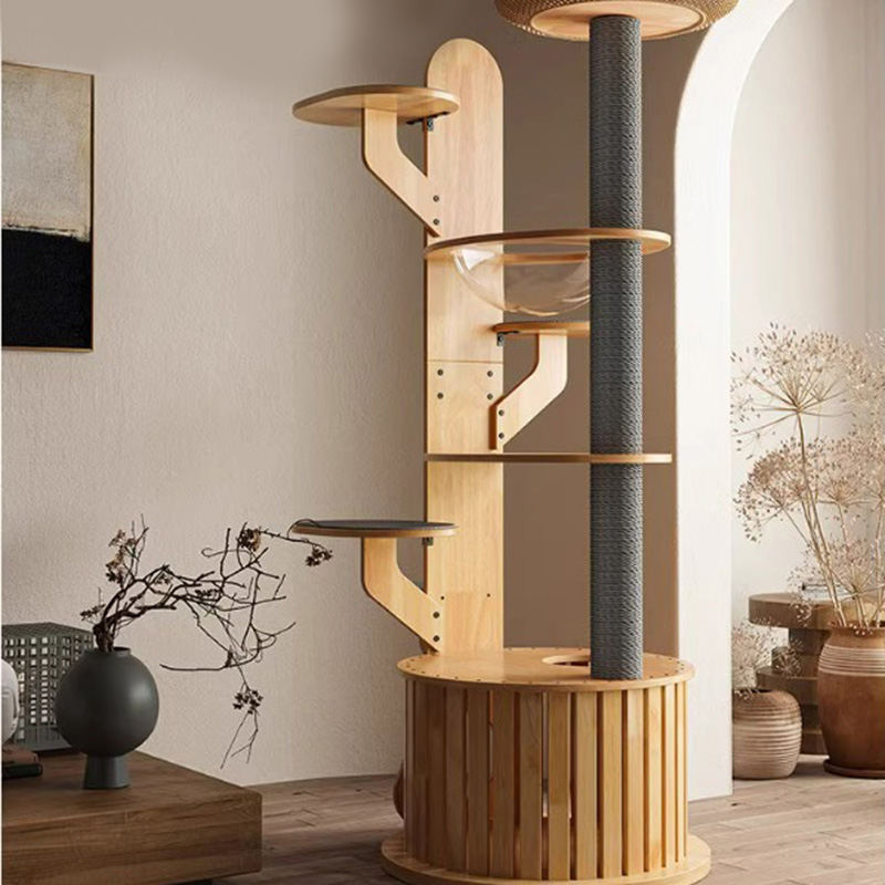 Hình dạng cây xương rồng khung gỗ leo cây mèo rắn với viên nang không gian Hình dạng cây xương rồng khung gỗ leo cây mèo rắn với viên nang không gian