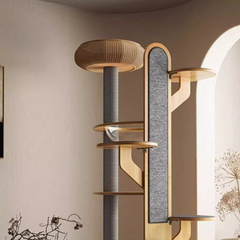 Hình dạng cây xương rồng khung gỗ leo cây mèo rắn với viên nang không gian Hình dạng cây xương rồng khung gỗ leo cây mèo rắn với viên nang không gian