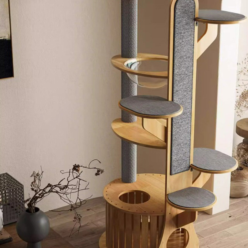 Hình dạng cây xương rồng khung gỗ leo cây mèo rắn với viên nang không gian Hình dạng cây xương rồng khung gỗ leo cây mèo rắn với viên nang không gian