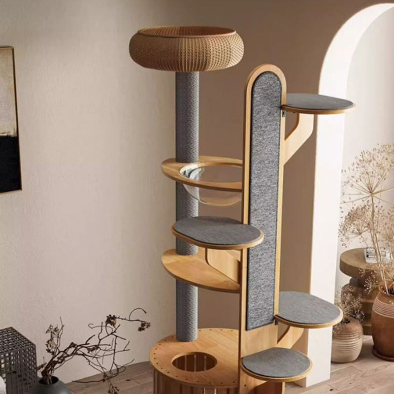 Hình dạng cây xương rồng khung gỗ leo cây mèo rắn với viên nang không gian Hình dạng cây xương rồng khung gỗ leo cây mèo rắn với viên nang không gian