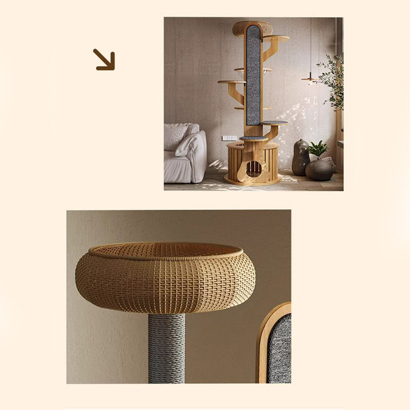 Hình dạng cây xương rồng khung gỗ leo cây mèo rắn với viên nang không gian Hình dạng cây xương rồng khung gỗ leo cây mèo rắn với viên nang không gian