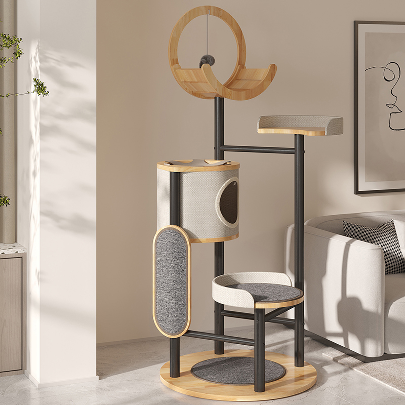 Khung leo cây Cá cao su và Tháp Tháp Tháp Tháp Khung leo cây Cá cao su và Tháp Tháp Tháp Tháp