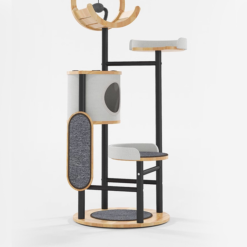 Khung leo cây Cá cao su và Tháp Tháp Tháp Tháp Khung leo cây Cá cao su và Tháp Tháp Tháp Tháp