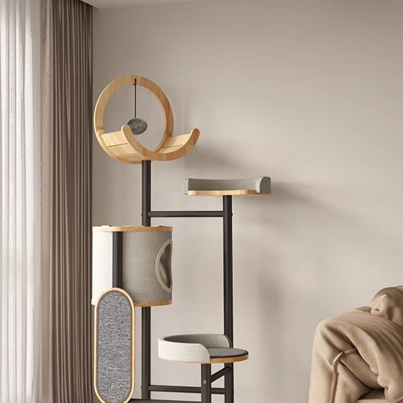 Khung leo cây Cá cao su và Tháp Tháp Tháp Tháp Khung leo cây Cá cao su và Tháp Tháp Tháp Tháp