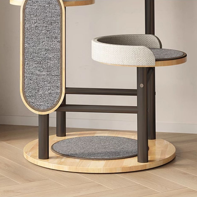 Khung leo cây Cá cao su và Tháp Tháp Tháp Tháp Khung leo cây Cá cao su và Tháp Tháp Tháp Tháp