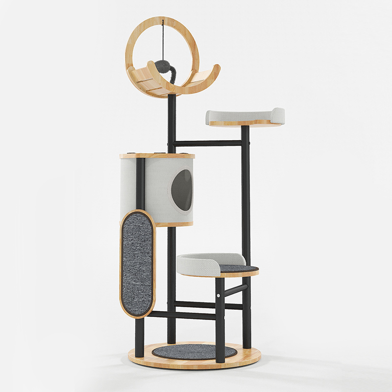 Khung leo cây Cá cao su và Tháp Tháp Tháp Tháp Khung leo cây Cá cao su và Tháp Tháp Tháp Tháp