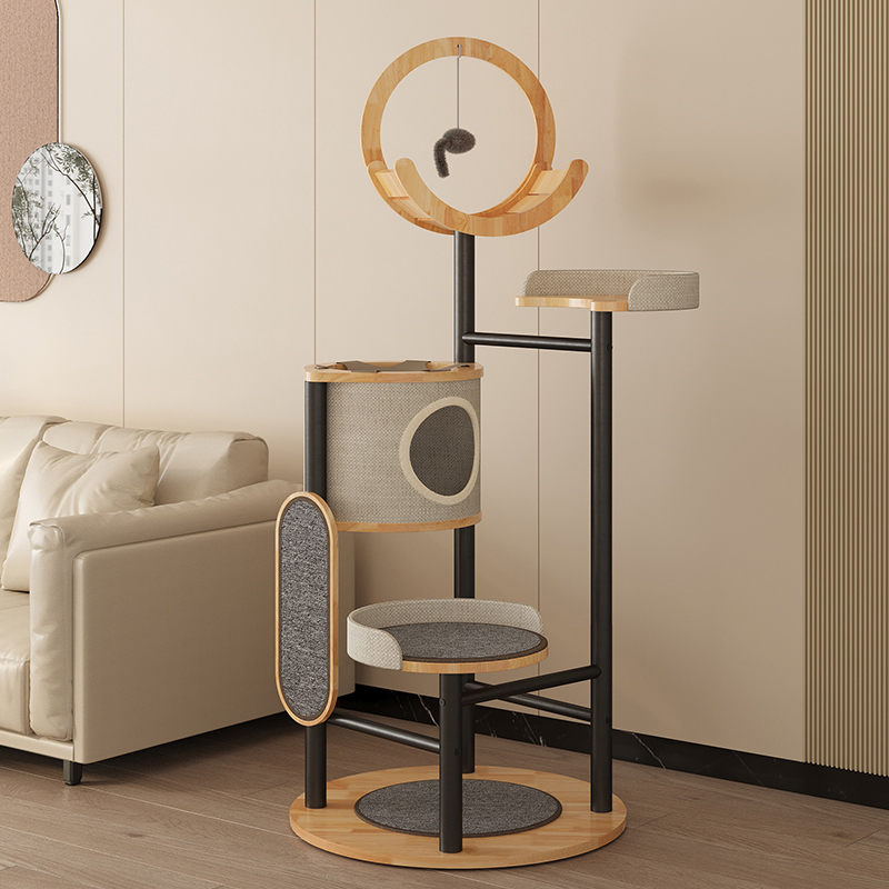 Khung leo cây Cá cao su và Tháp Tháp Tháp Tháp Khung leo cây Cá cao su và Tháp Tháp Tháp Tháp