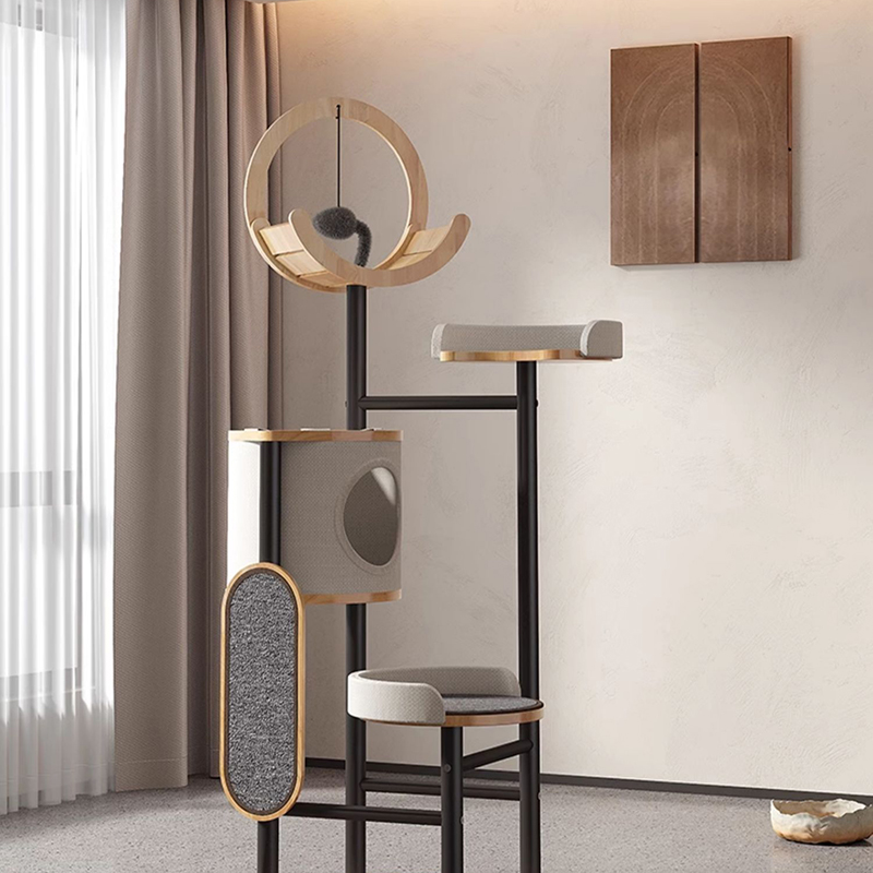 Khung leo cây Cá cao su và Tháp Tháp Tháp Tháp Khung leo cây Cá cao su và Tháp Tháp Tháp Tháp