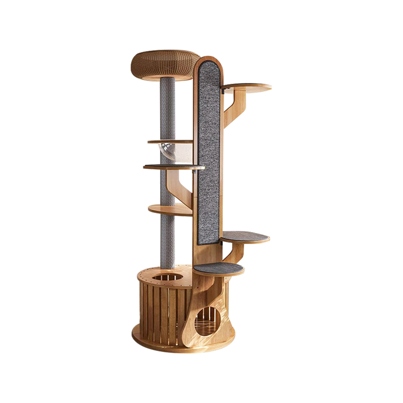 Hình dạng cây xương rồng khung gỗ leo cây mèo rắn với viên nang không gian Hình dạng cây xương rồng khung gỗ leo cây mèo rắn với viên nang không gian