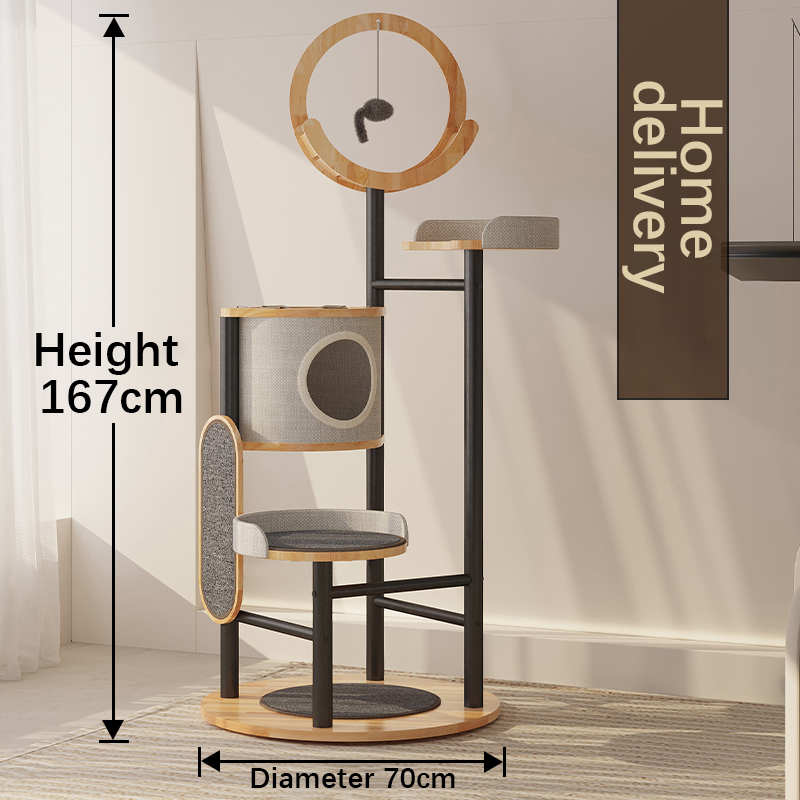 Khung leo cây Cá cao su và Tháp Tháp Tháp Tháp Khung leo cây Cá cao su và Tháp Tháp Tháp Tháp