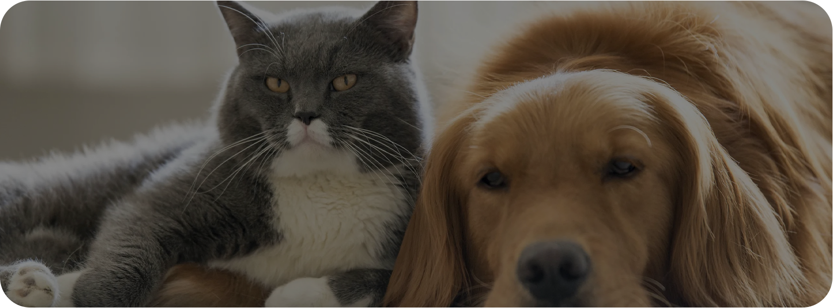 Công ty TNHH Home (Haian), Ltd