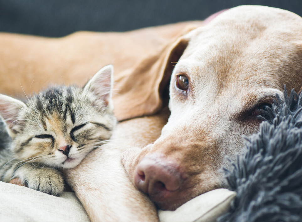 Công ty TNHH Home (Haian), Ltd